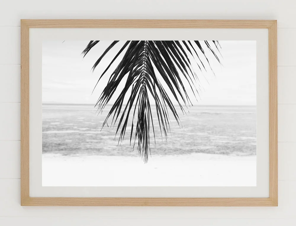 C34LonelyPalmFRAMEraw.jpg