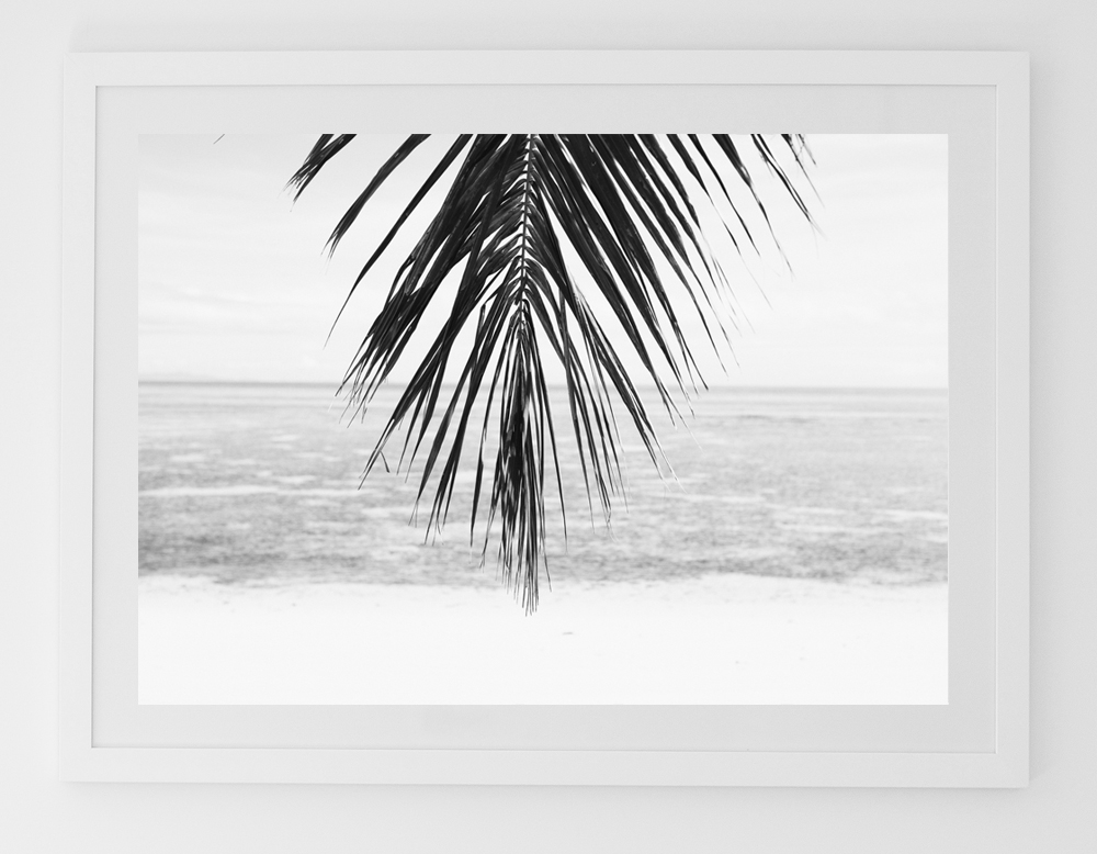 C34LonelyPalmFRAMEwhite.jpg