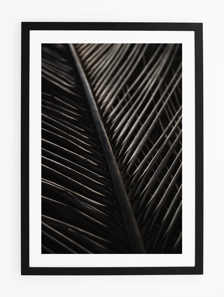C31SunburntPalmFRAMEblack.jpg