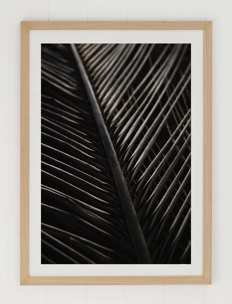 C31SunburntPalmFRAMEraw.jpg