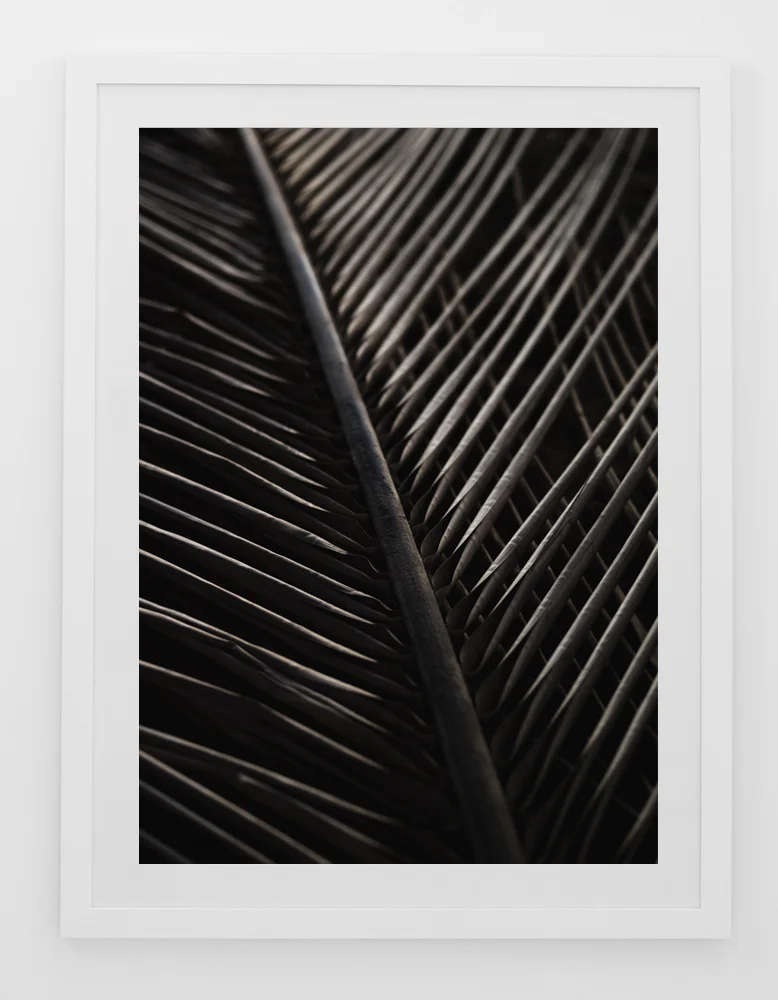 C31SunburntPalmFRAMEwhite.jpg