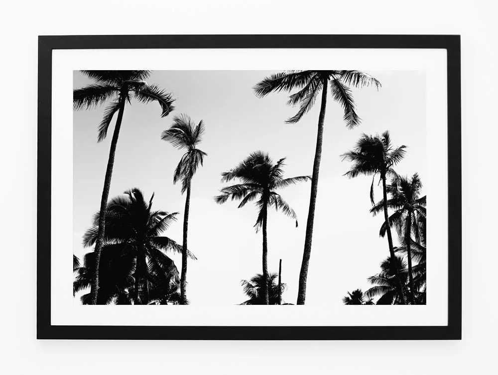 C35VanuatuPalmsFRAMEblack.jpg