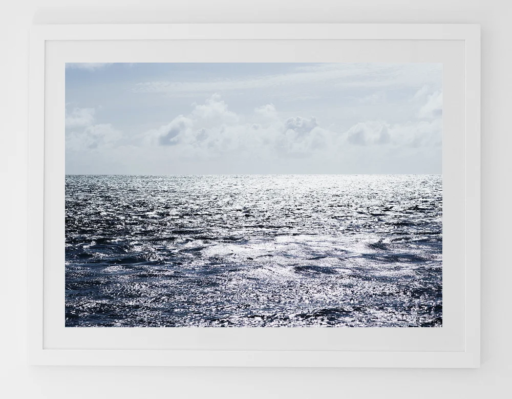 C15IndianOceanFRAMEwhite.jpg
