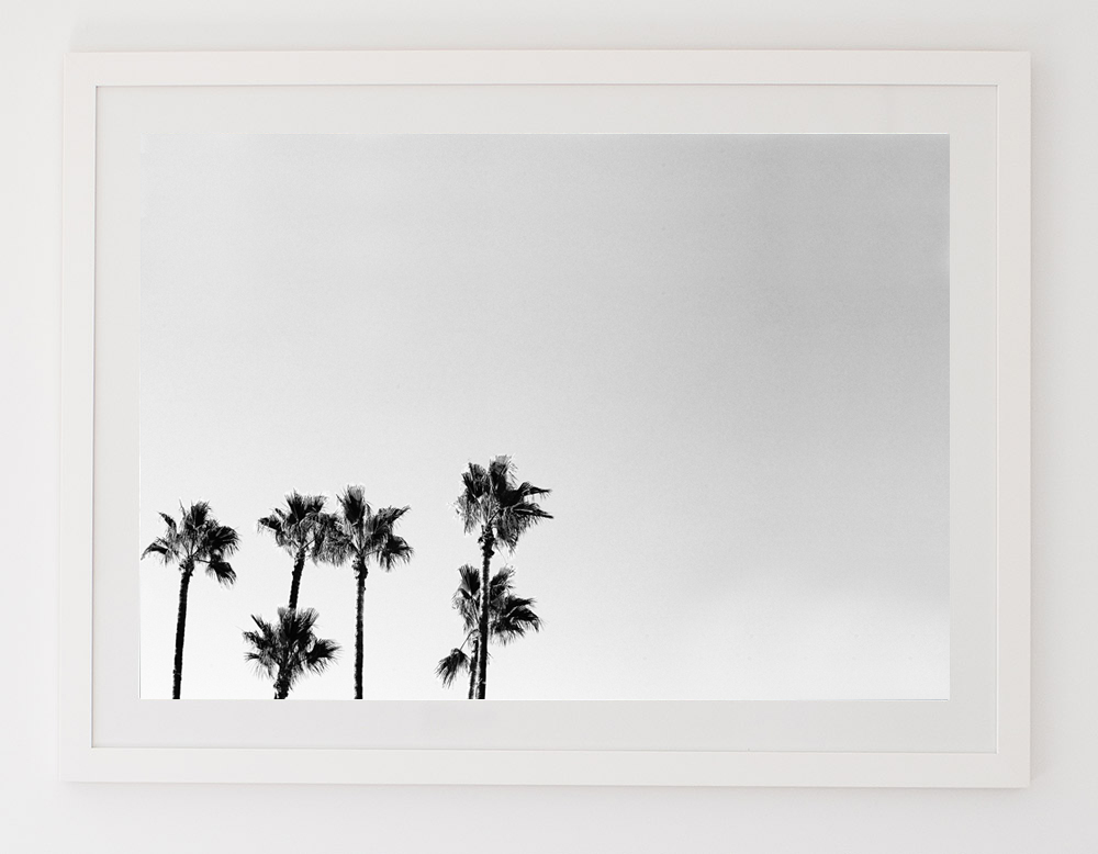 C39CaliPalmBWFRAMEwhite.jpg