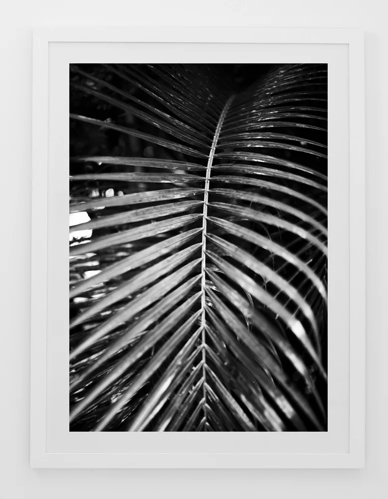 C41TropicalPalmTwoFRAMEwhite.jpg