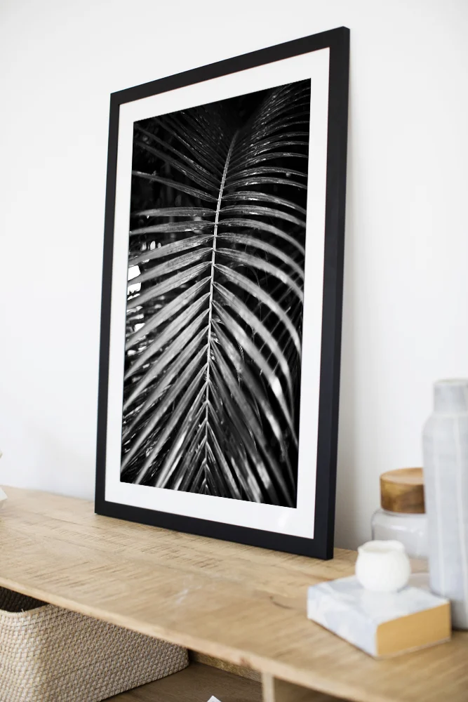 C41TropicalPalmTwoLOC.jpg