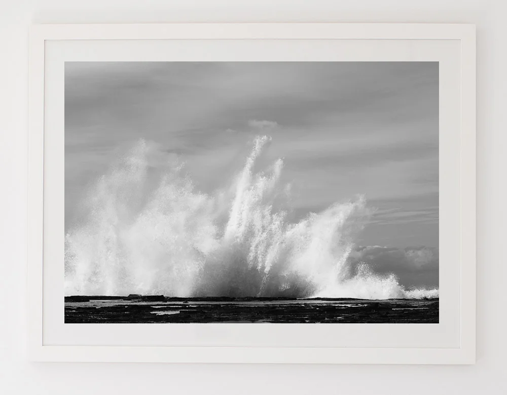 C49MagesticBWFRAMEwhite.jpg