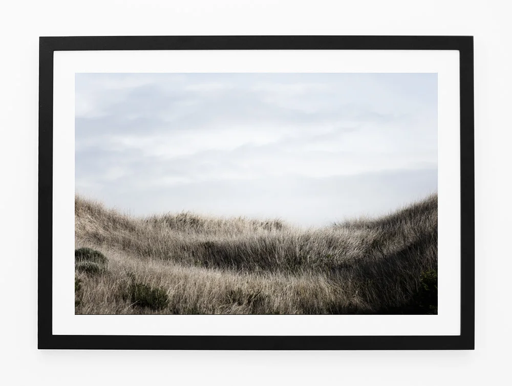 C51MeadowOneFRAMEblack.jpg