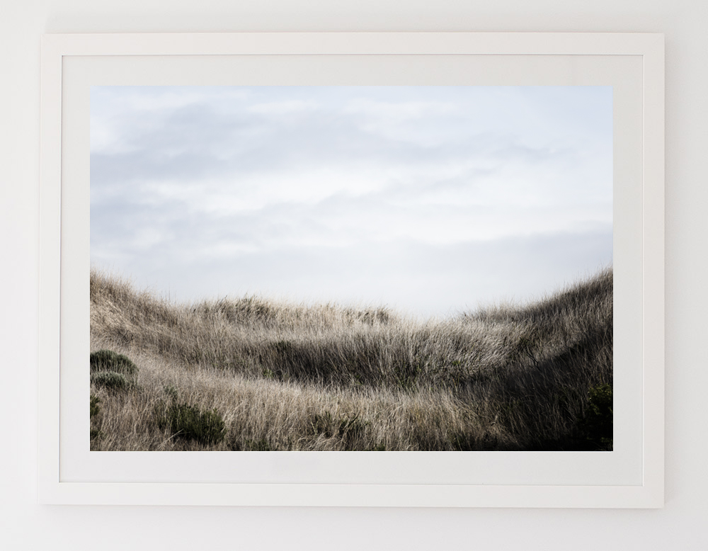 C51MeadowOneFRAMEwhite.jpg