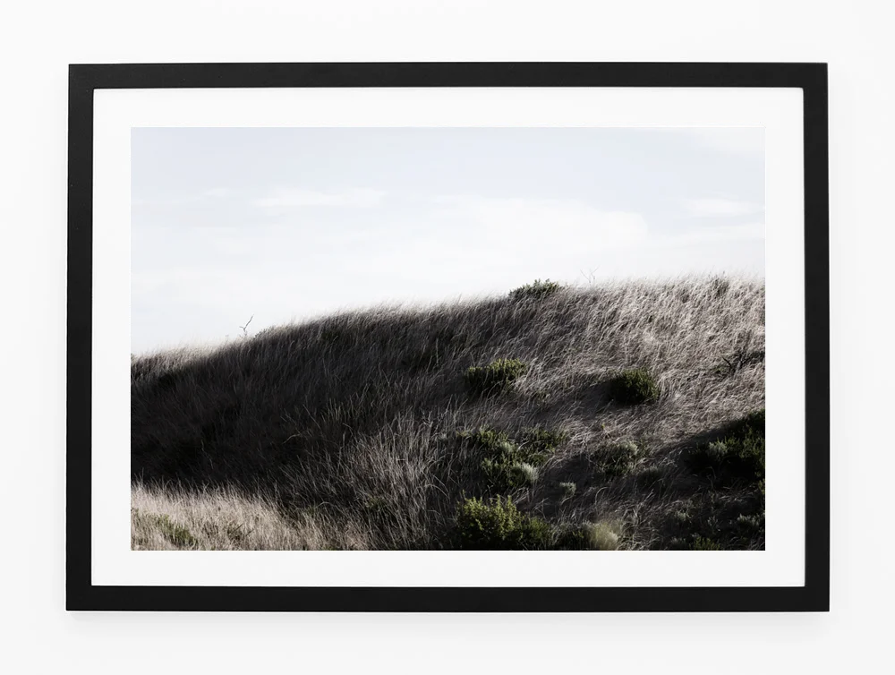 C53MeadowThreeFRAMEblack.jpg