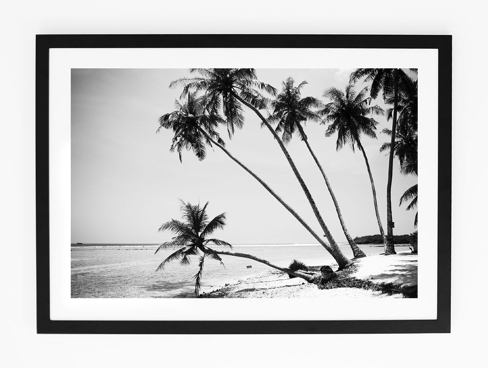 C42CokesPalmOneFRAMEblack.jpg