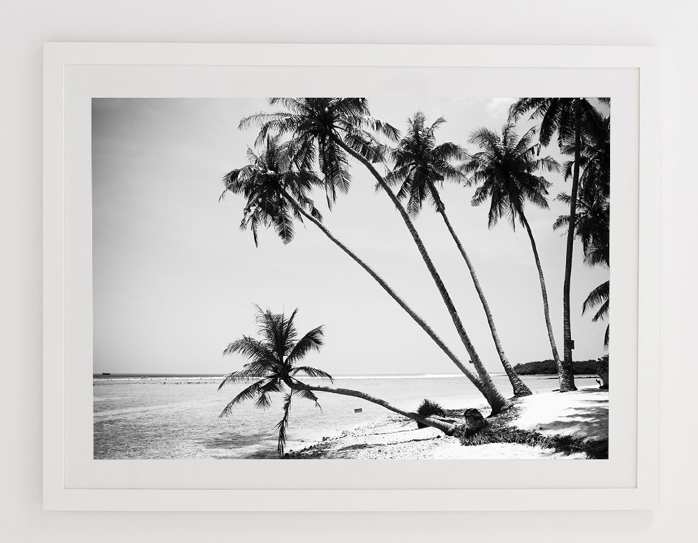 C42CokesPalmOneFRAMEwhite.jpg