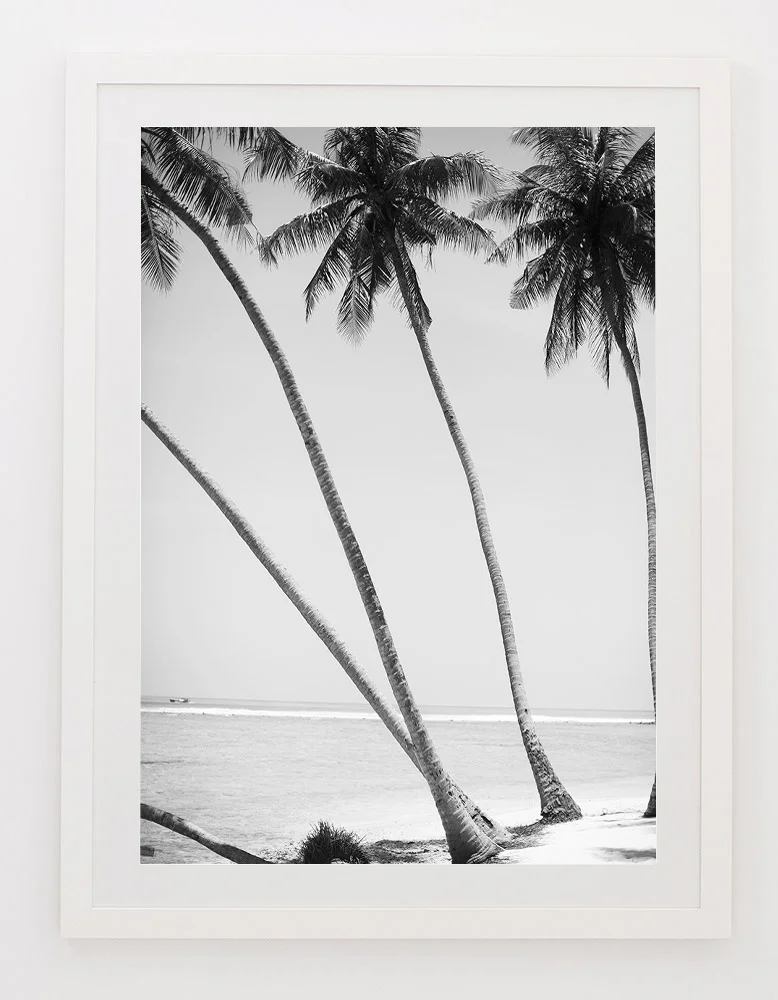 C43CokesPalmTwoFRAMEwhite.jpg