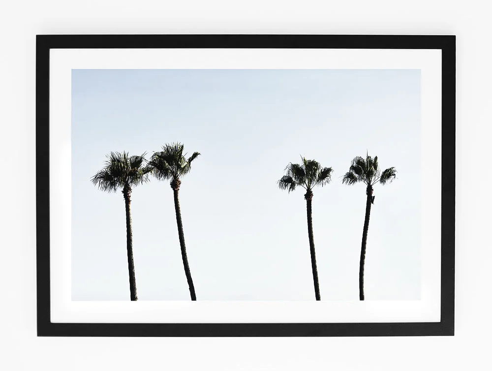 C69MalibuPalmOneFRAMEblack.jpg