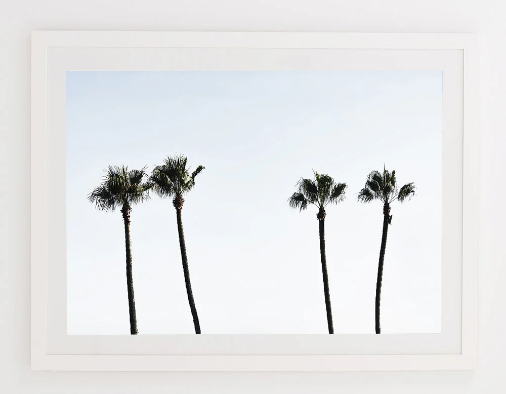 C69MalibuPalmOneFRAMEwhite.jpg