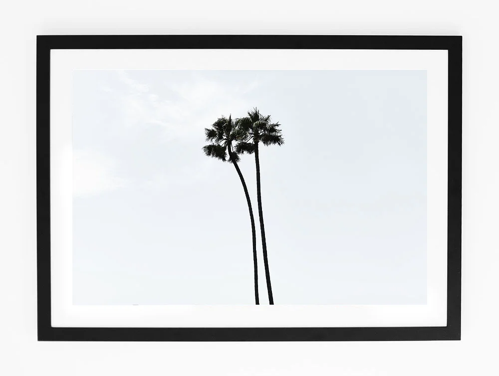 C70MalibuPalmTwoFRAMEblack.jpg
