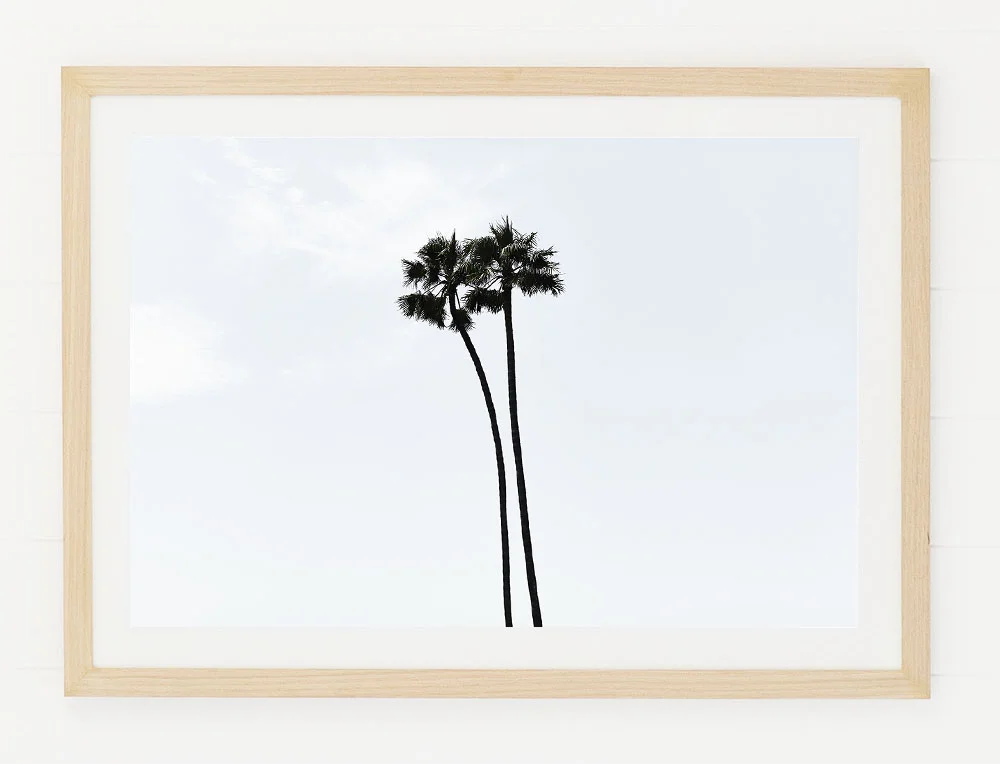 C70MalibuPalmTwoFRAMEraw.jpg