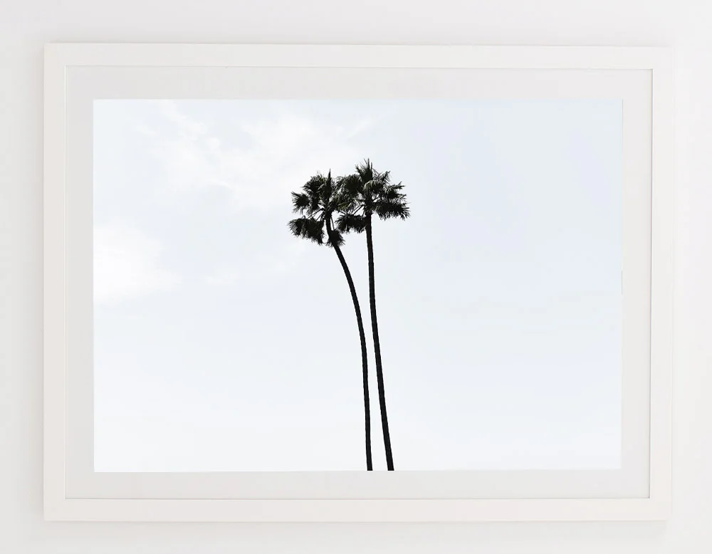 C70MalibuPalmTwoFRAMEwhite.jpg