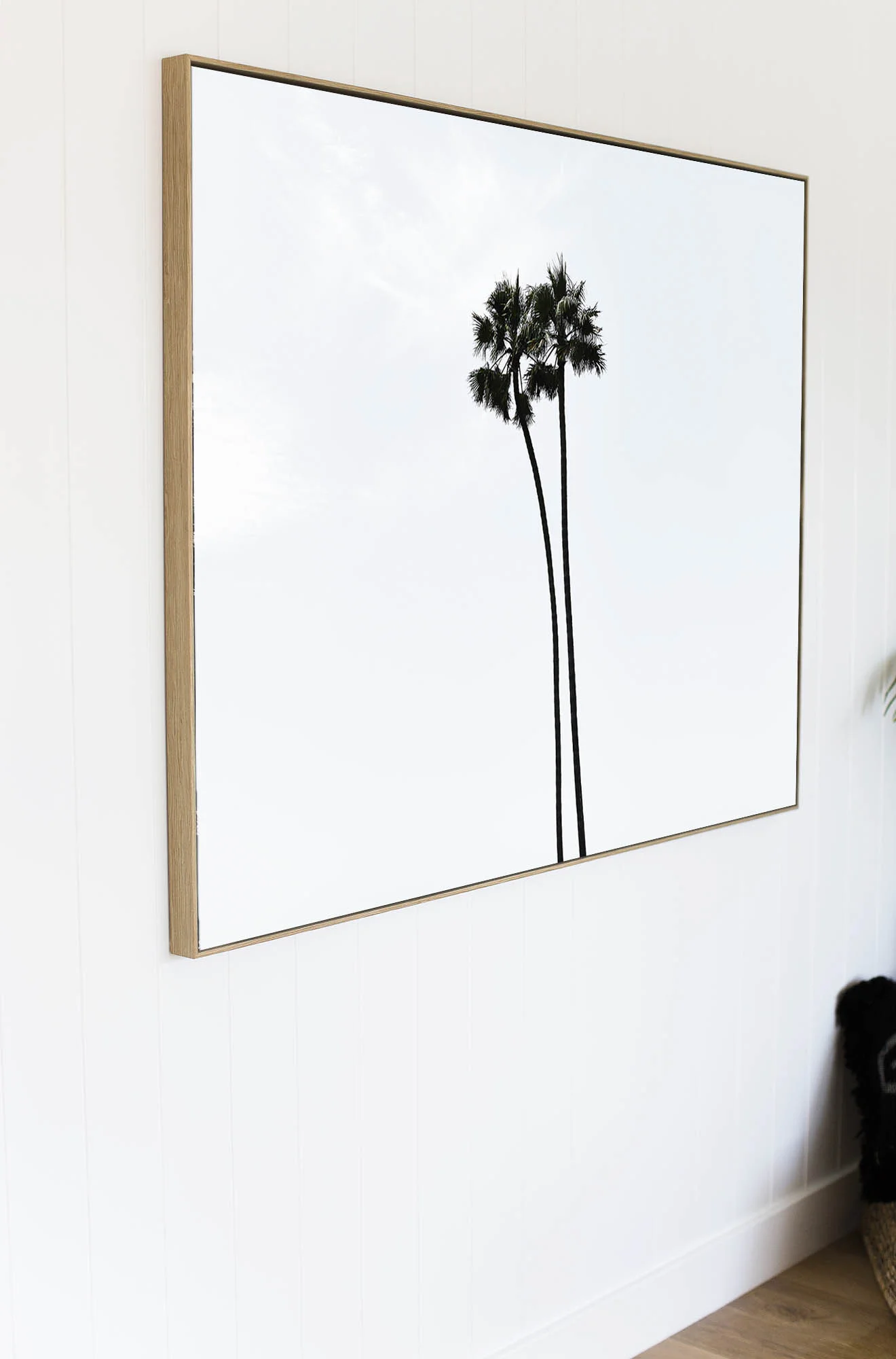 C70MalibuPalmTwoLOC.jpg