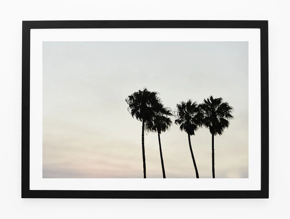 C71MalibuPalmThreeFRAMEblack.jpg