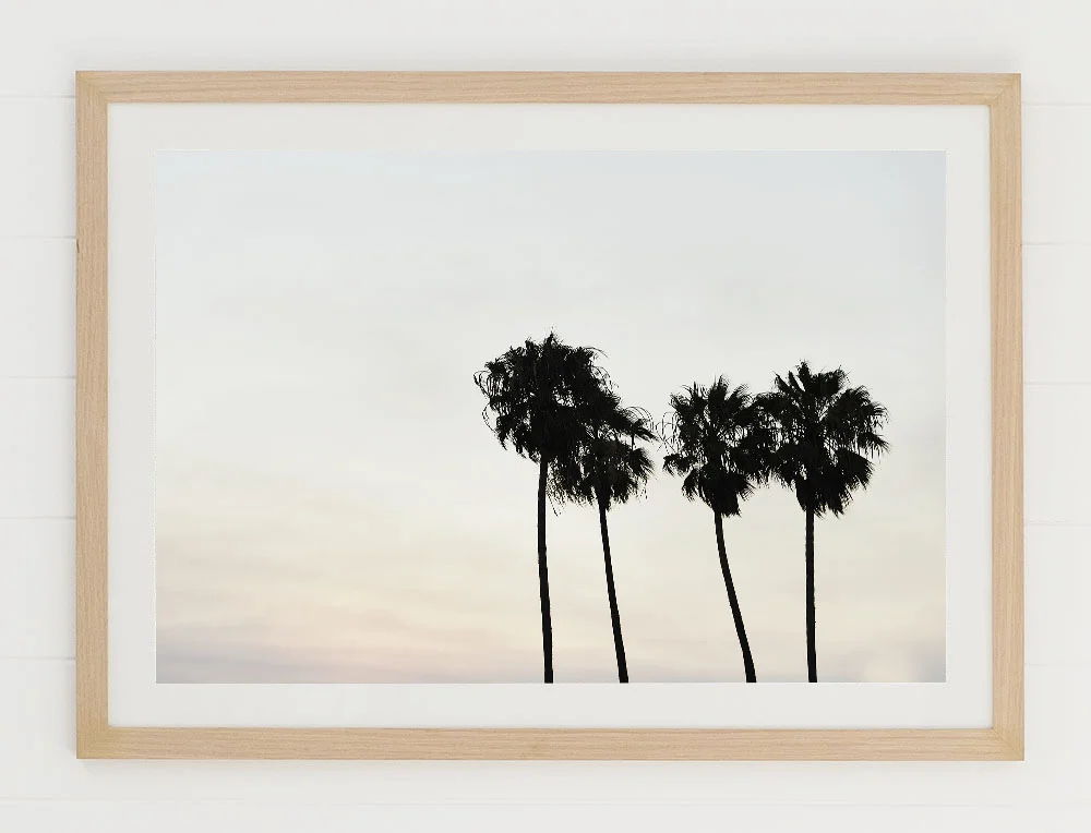 C71MalibuPalmThreeFRAMEraw.jpg