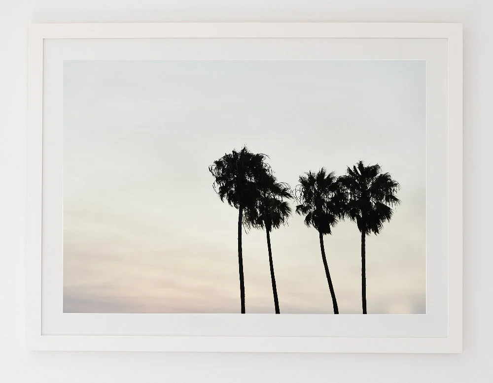 C71MalibuPalmThreeFRAMEwhite.jpg