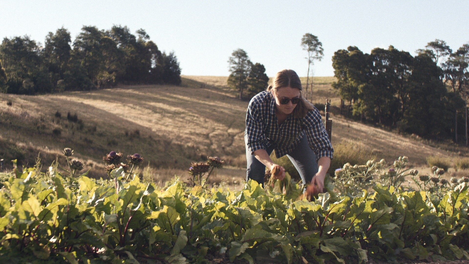 FELDS FARM - MASTER_00003913.jpeg