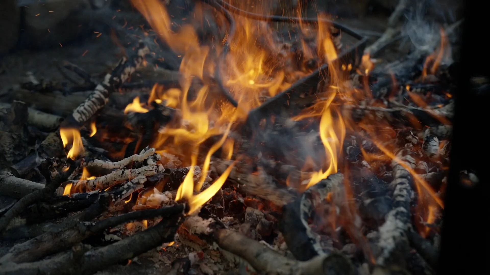 Smoking Jerky Over an Open Fire in Tasmania_00000000.jpeg