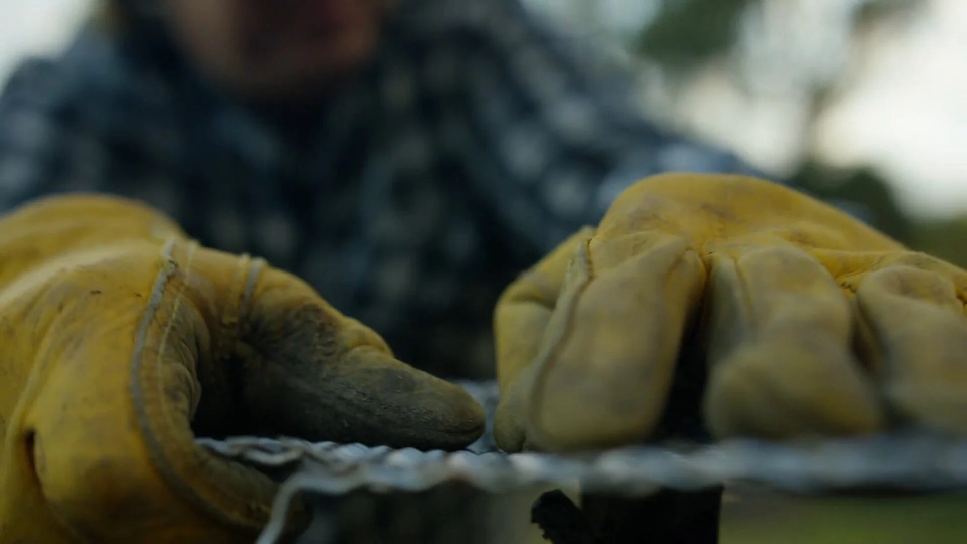 Smoking Jerky Over an Open Fire in Tasmania_00005515.jpeg