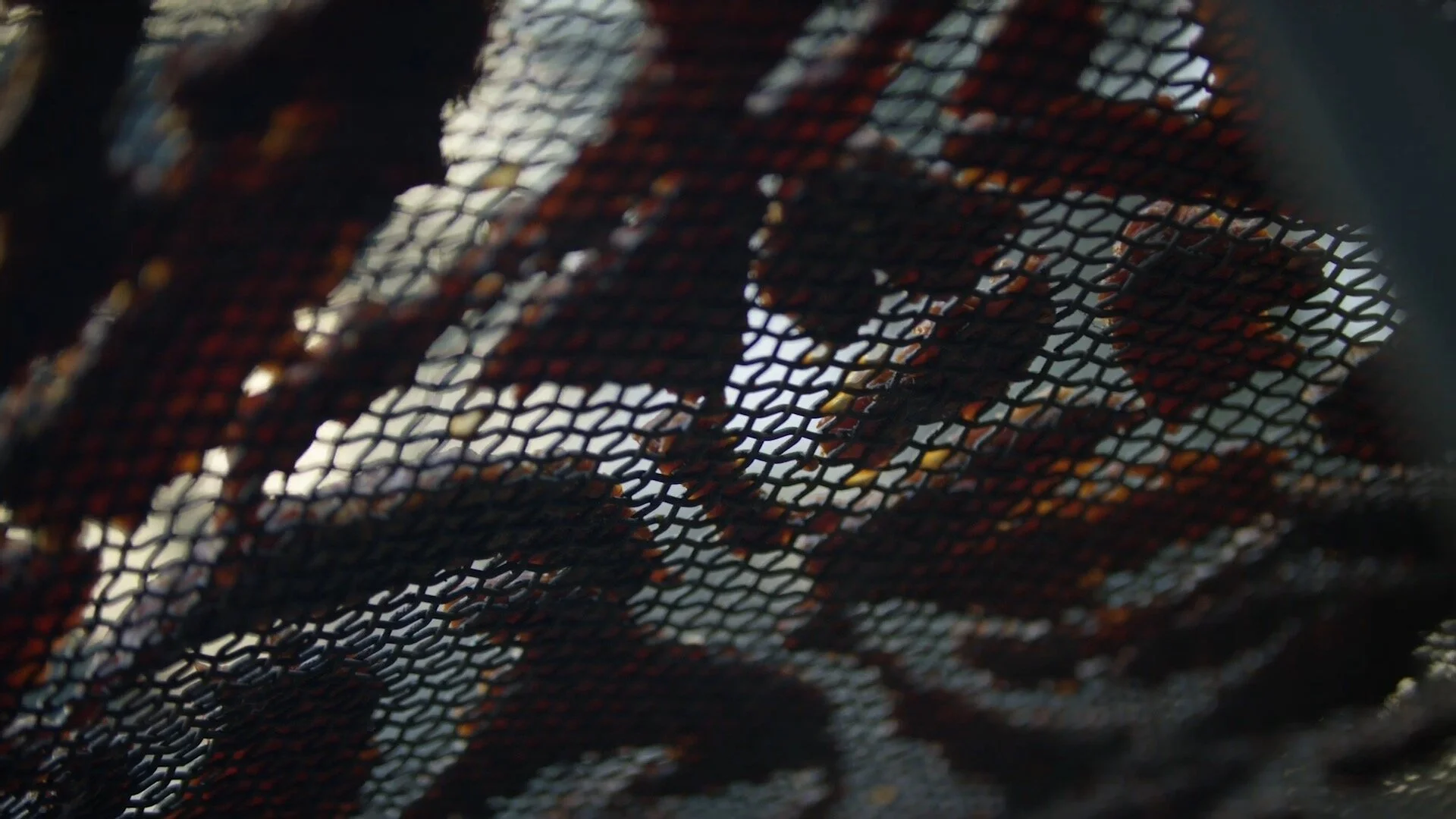 Smoking Jerky Over an Open Fire in Tasmania_00010124.jpeg