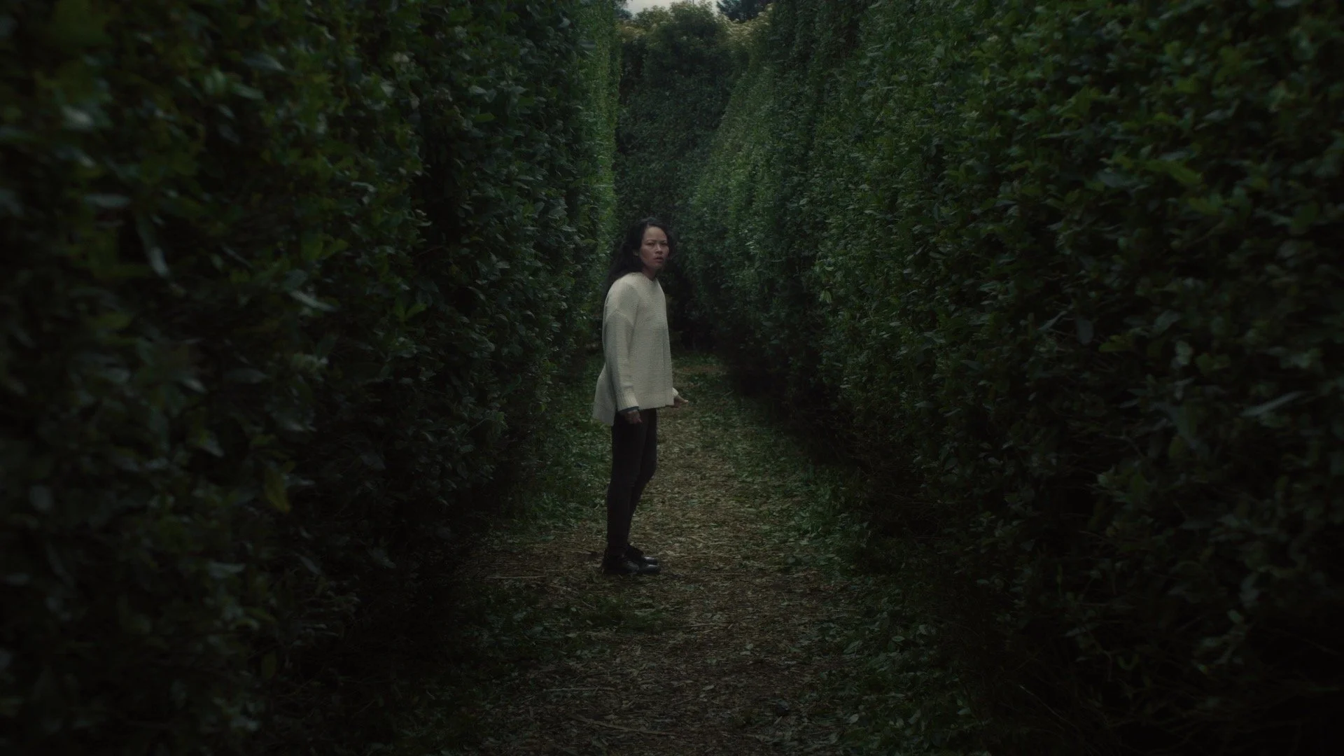 ADF - DIRECTORS CUT_00001407.jpeg