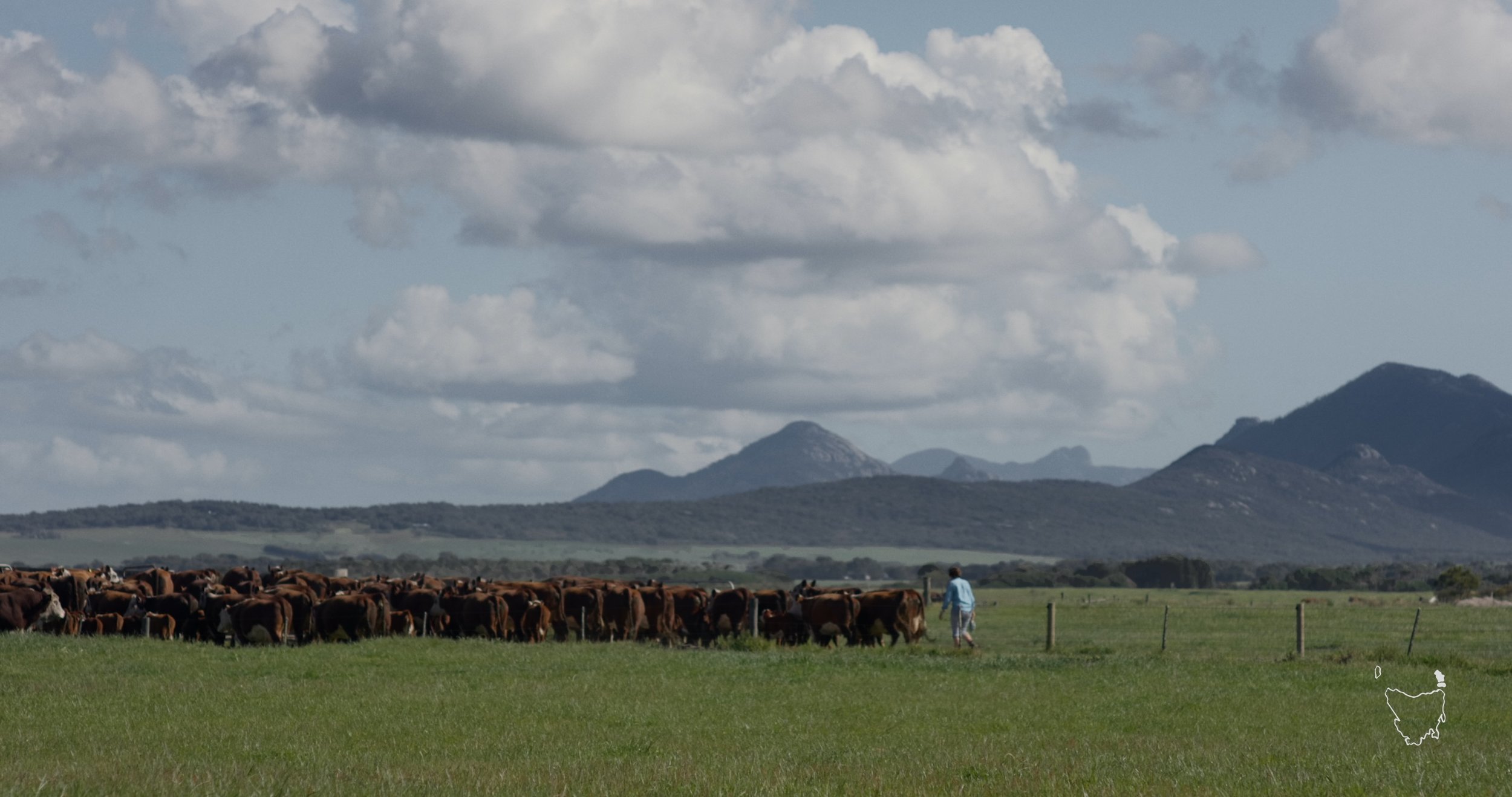 tt_flinders_island_master.mov (Original)_00002500.jpeg