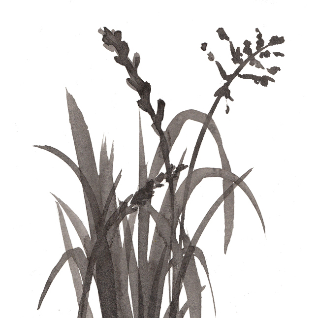 Drawing Thumbnail.jpeg