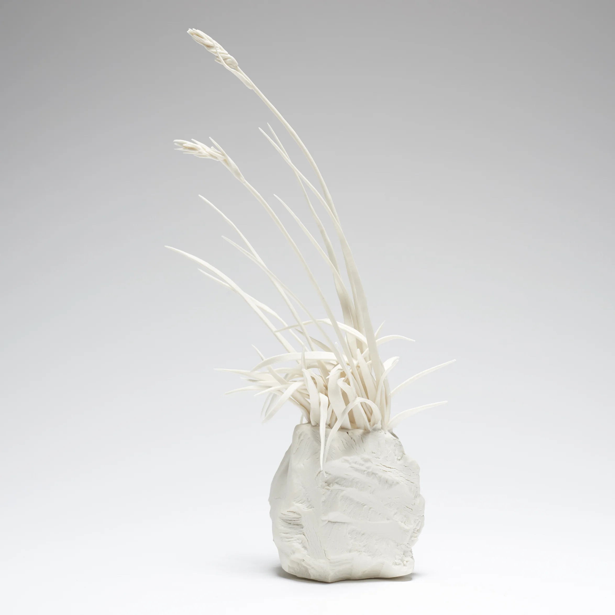 Katie Spragg, Lumsden Path Turf, 2017, ©Sylvain-Deleu (crop).jpeg