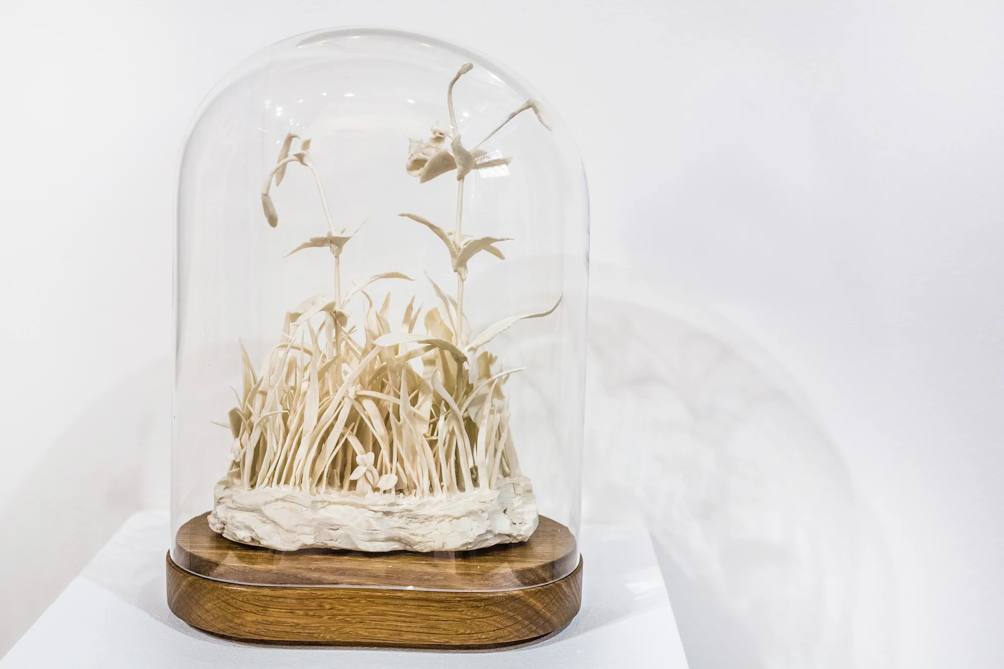 Victorian Legacy - Himalayan Balsam, 2017.jpeg