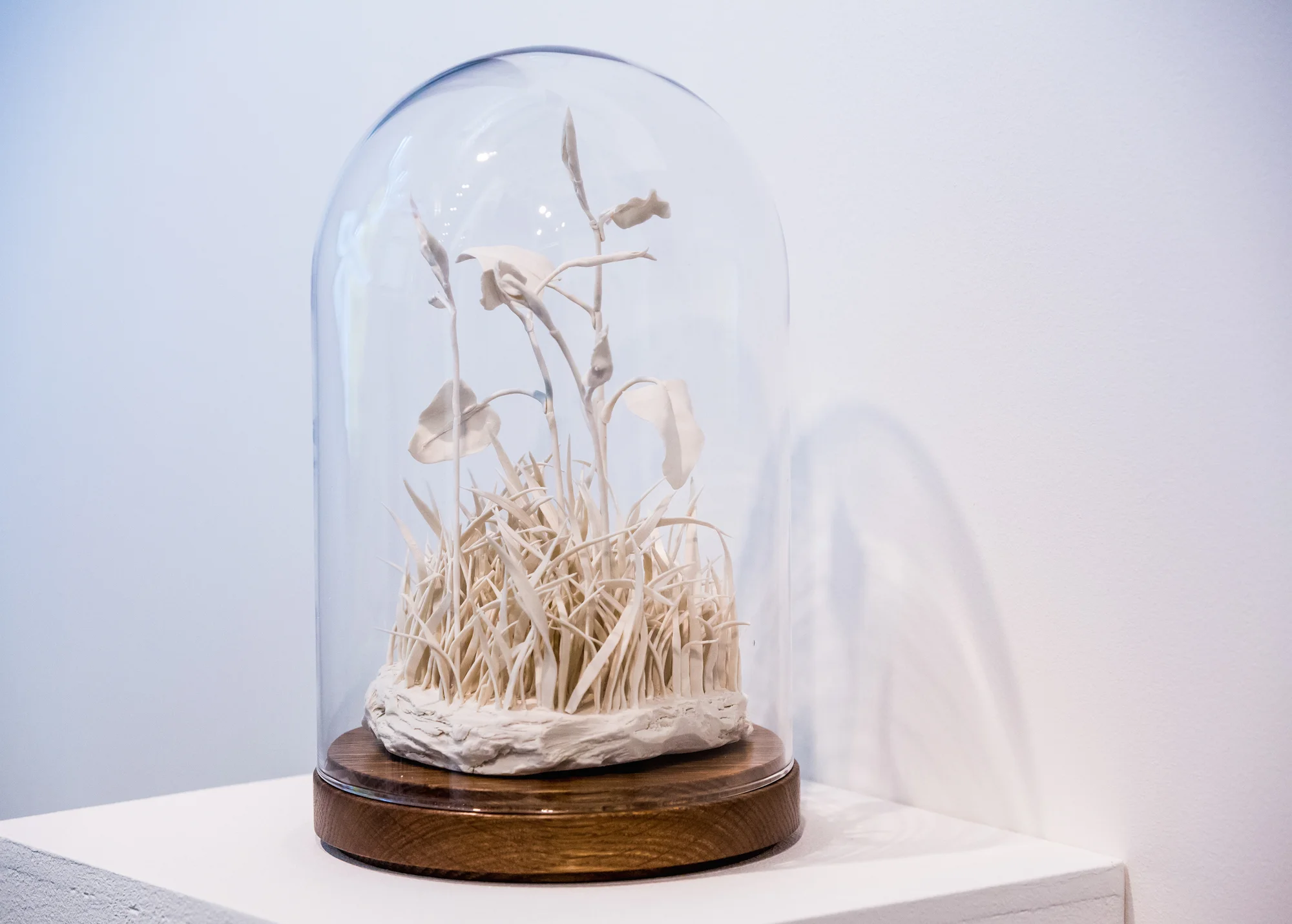 Victorian Legacy - Japanese Knotweed, 2017.jpeg