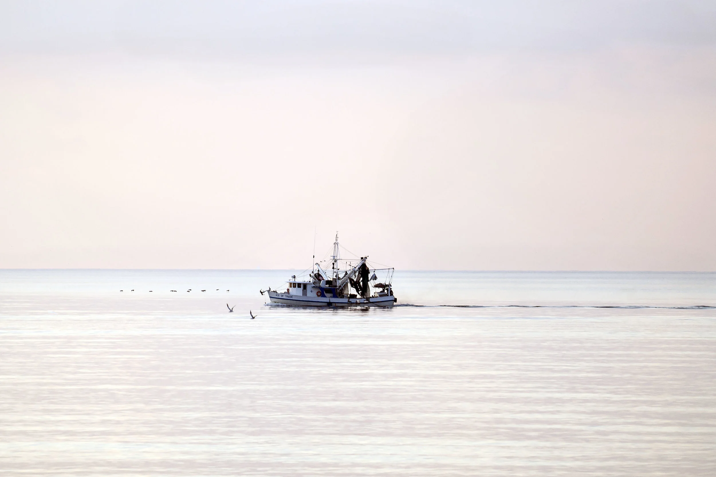 Shrimp Boat_DSC02036.JPG