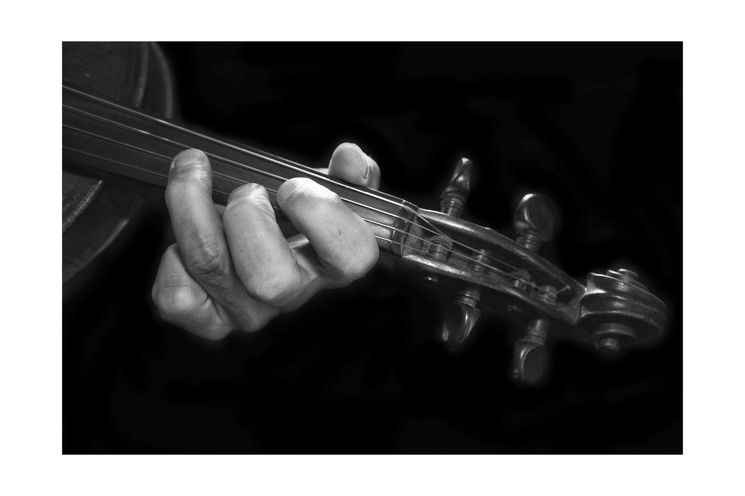 Violin1_wetrocks_Border_DSC_2328.JPG