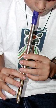 tinwhistlejoe.jpg
