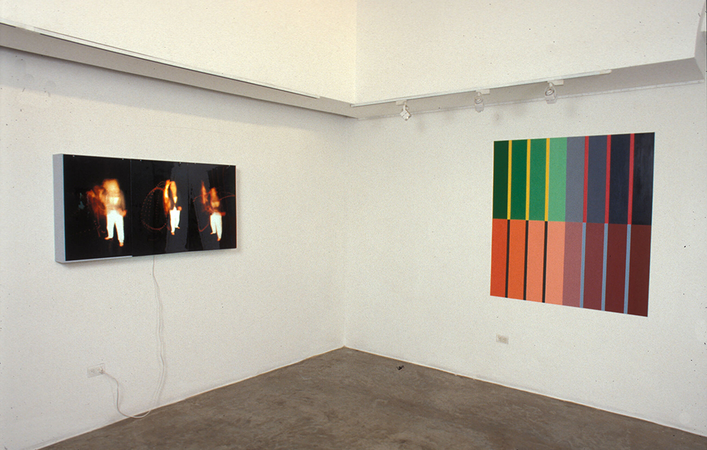 Gula, gluttony, with Patricia Belli in gallery Codice, Nicaragua 2002