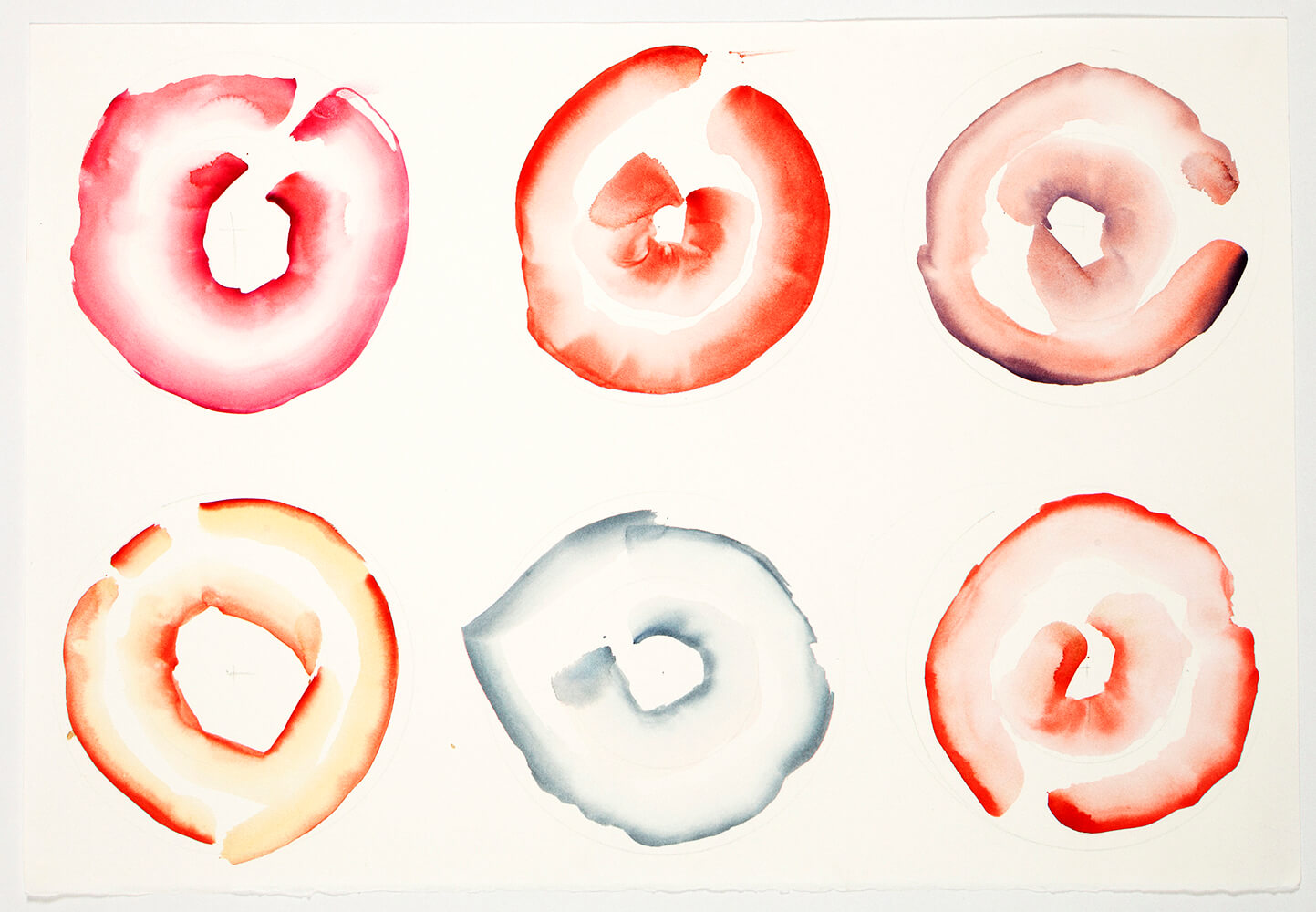 Doughnuts, 65 x 50 cm. 2012