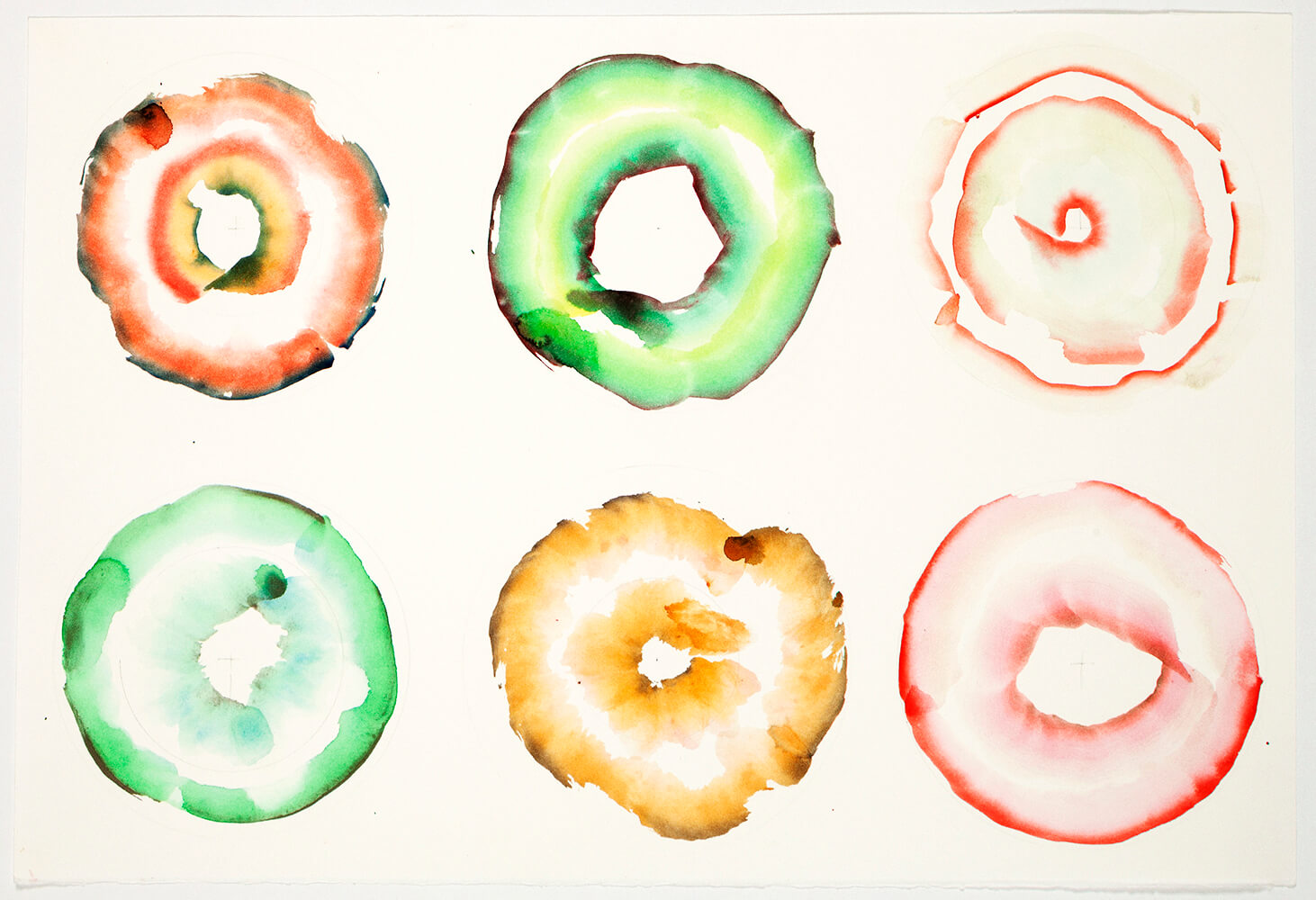 Doughnuts, 65 x 50 cm. 2012