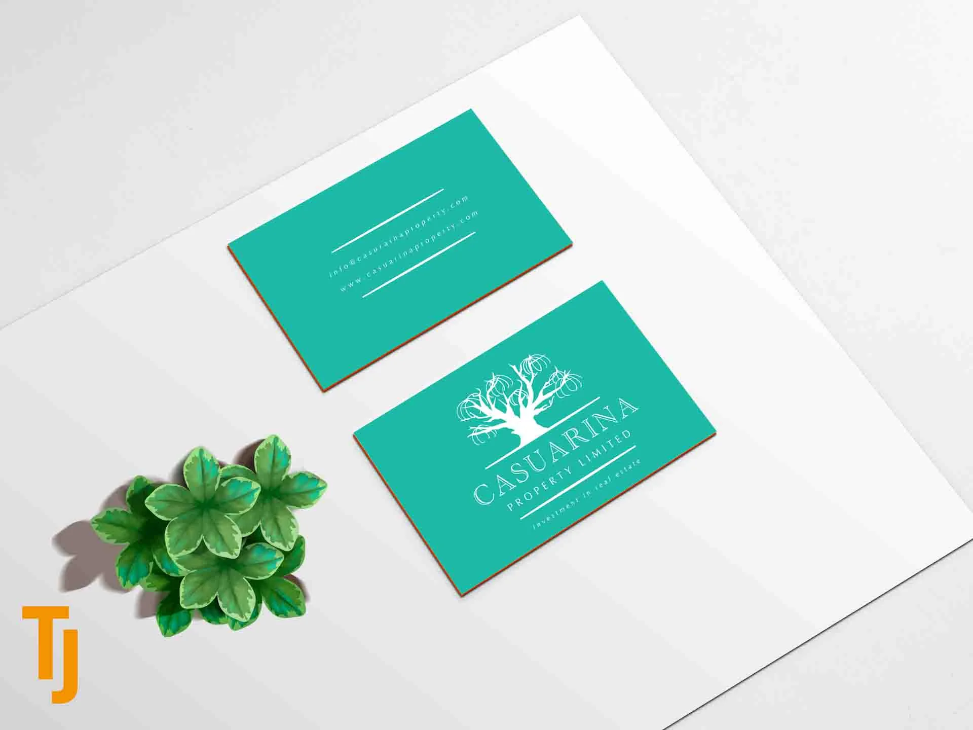 Logo Design for Casuarina Properties Limited