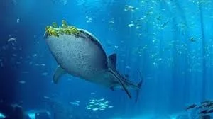 Georgia_aquarium.jpg
