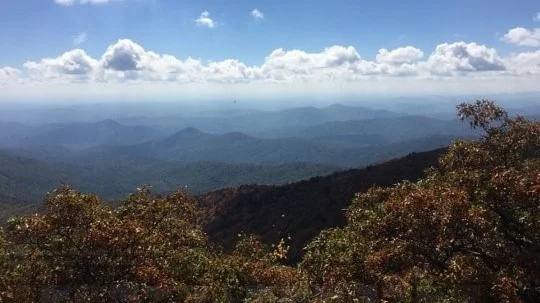Bartram+Trail+Hike.jpg