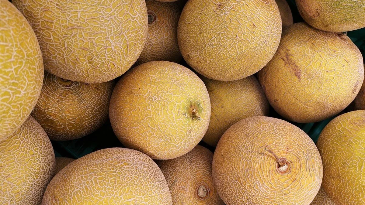 cantaloupe-healthy-snacks-for-traveling.jpg