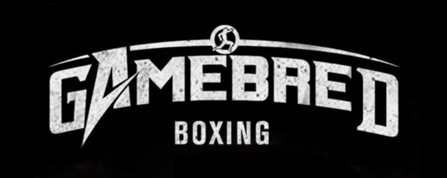 Gamebred Boxing artwork.png