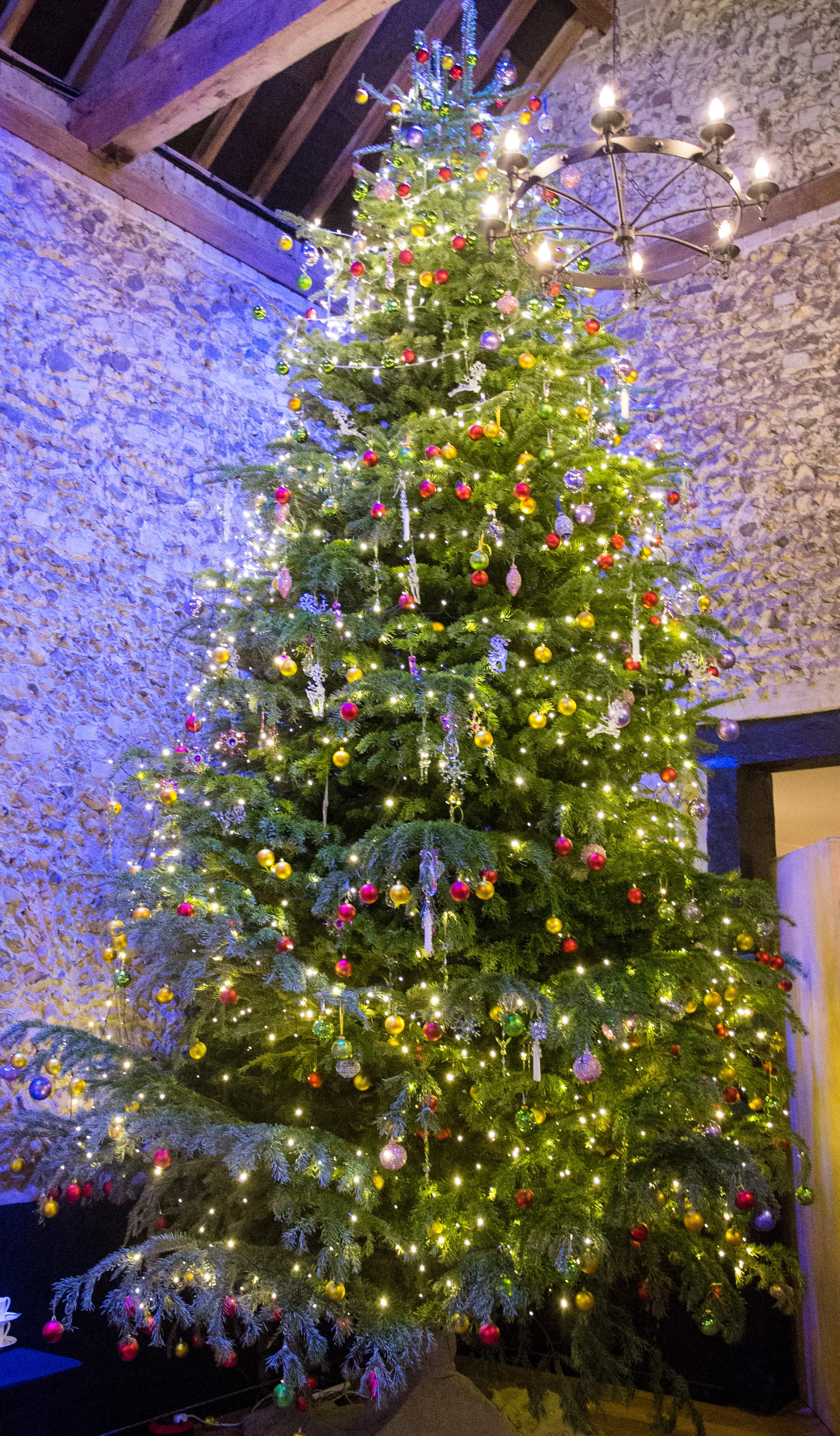 THE tree.