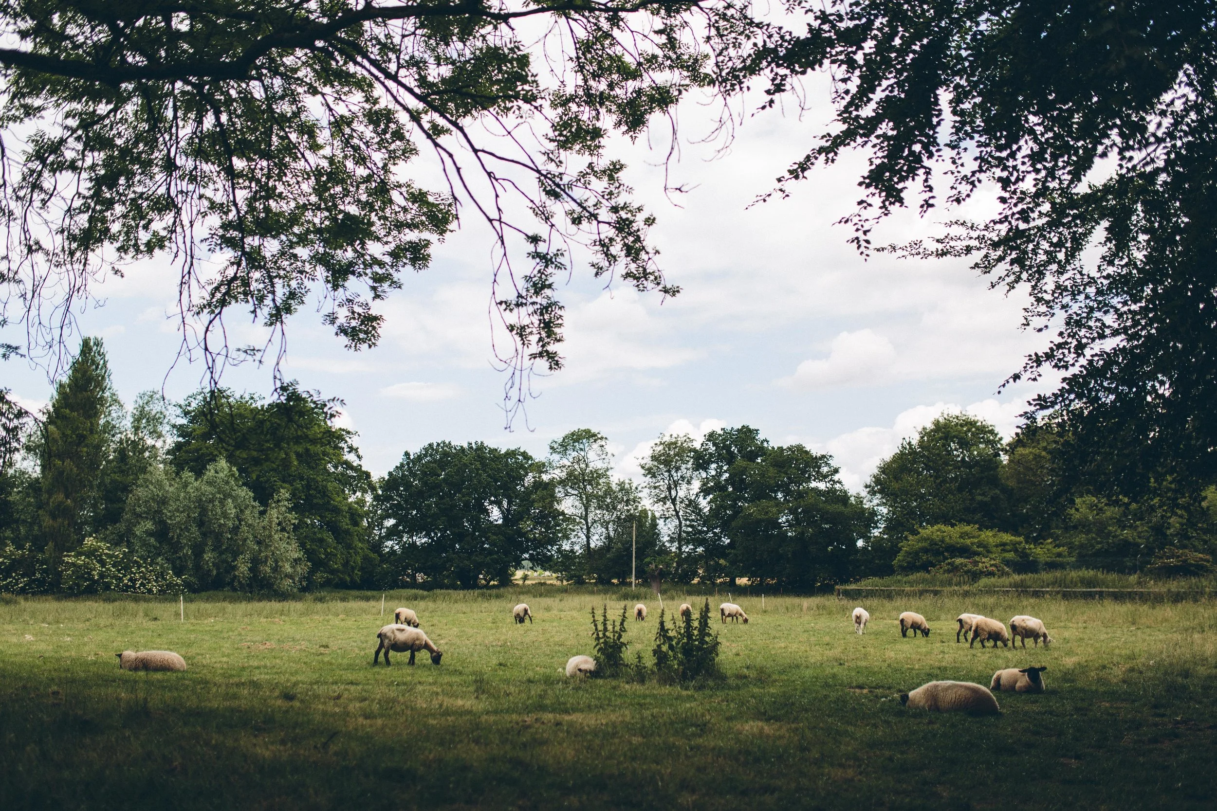 Kate Gray Photography