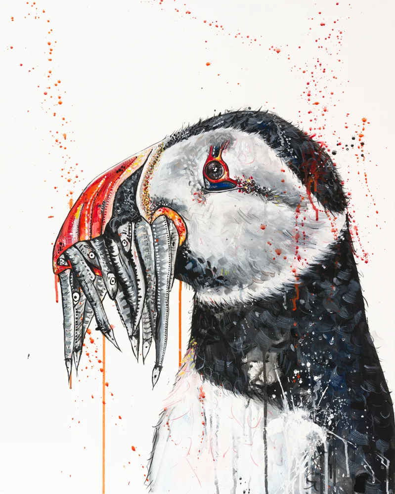 Puffin Sophie Tea Art.jpg